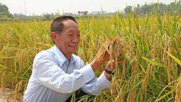 在科技不断进步下 中国近些年都取得哪些重大科技成果(图6)