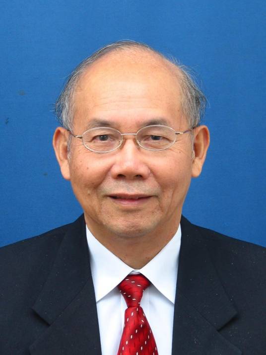 中国工程院能源与矿业工程学部资深院士简介（一）(图4)