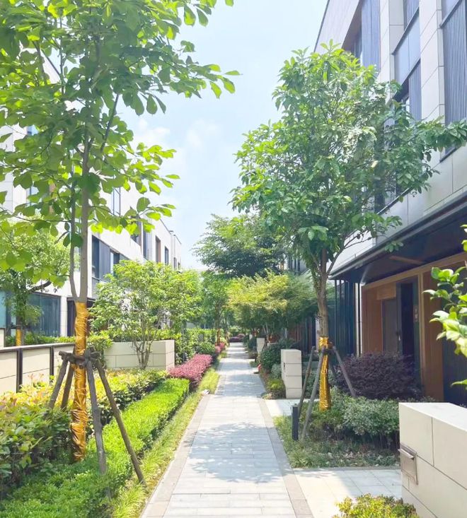 闵行·龙湖天钜官方发布！龙湖天钜售楼处欢迎您_楼盘详情(图2)