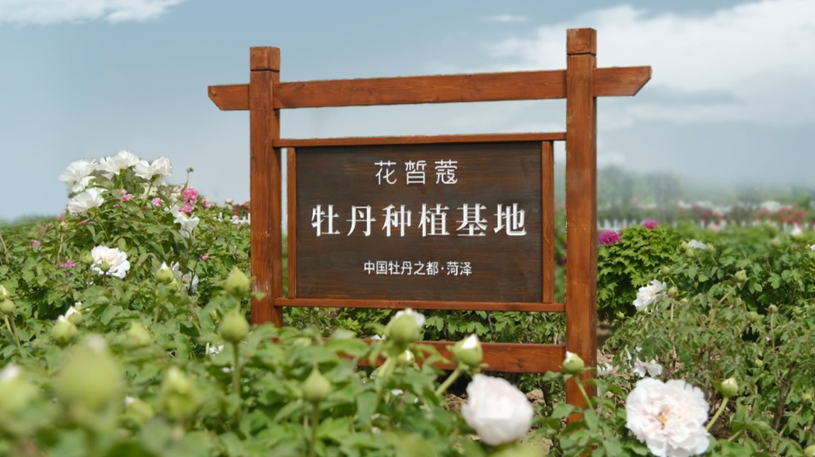花皙蔻荣获高新技术企业认定 科技+创新打造纯净美妆新标杆(图3) 花皙蔻荣获高新技术企业认定 科技+创新打造纯净美妆新标杆(图3)