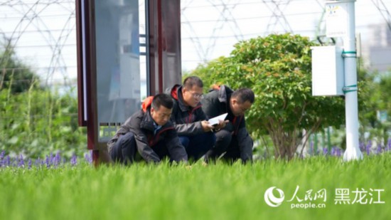 黑龙江:“中国饭碗”插上现代科技翅膀装备制造增添自主创新动力(图2) 黑龙江:“中国饭碗”插上现代科技翅膀装备制造增添自主创新动力(图2)