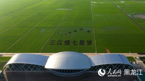 黑龙江:“中国饭碗”插上现代科技翅膀装备制造增添自主创新动力(图1) 黑龙江:“中国饭碗”插上现代科技翅膀装备制造增添自主创新动力(图1)