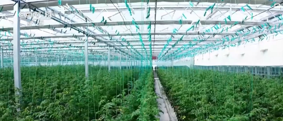 世界看两会 中国式现代化取得的显著成果有目共睹(图4) 世界看两会 中国式现代化取得的显著成果有目共睹(图4)