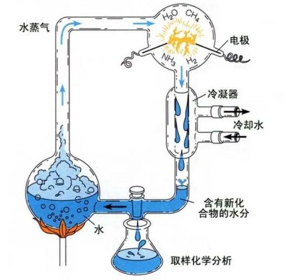 现代科技如此发达为何连一个细胞都造不出来？(图9)