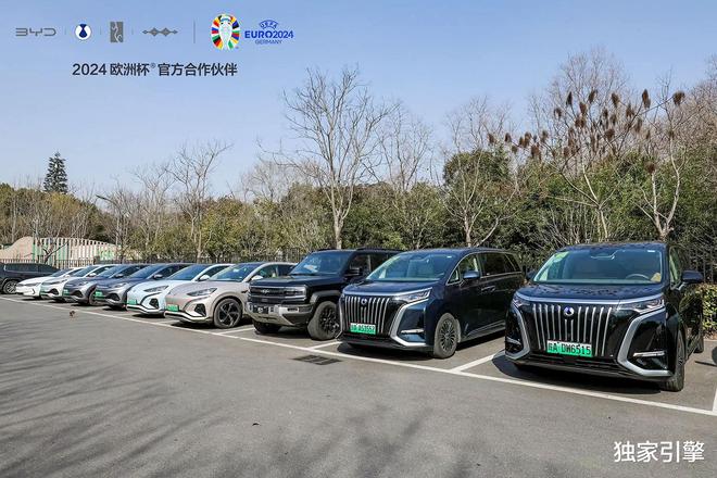 探寻比亚迪合肥工厂现代科技与千年文化传承的融合之旅！(图4)