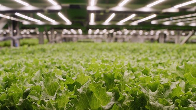 这些食品科技在改变行业垂直农业… 2023年FoodTech 500强出炉(图5) 这些食品科技在改变行业垂直农业… 2023年FoodTech 500强出炉(图5)