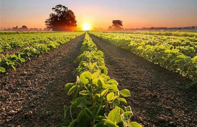 这些食品科技在改变行业垂直农业… 2023年FoodTech 500强出炉(图9) 这些食品科技在改变行业垂直农业… 2023年FoodTech 500强出炉(图9)