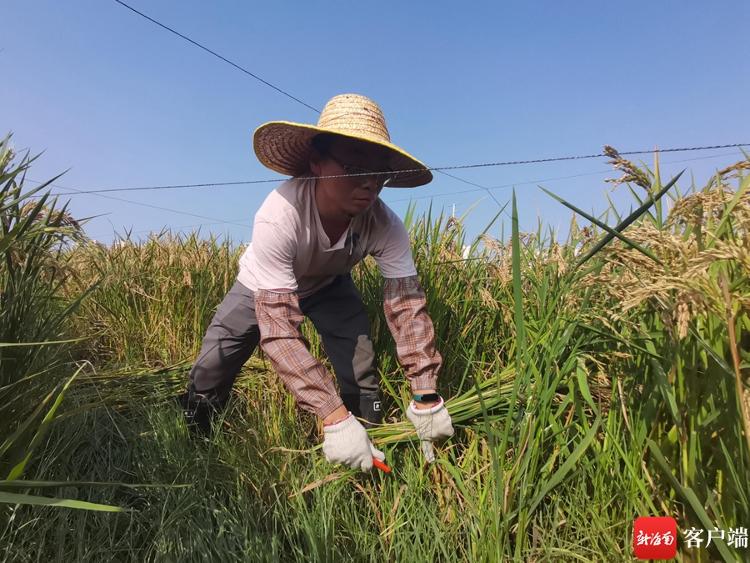 从博鳌看海南丨如何打造新质生产力重要实践地?海南在博鳌亚洲论坛年会上寻求智慧经验(图1) 从博鳌看海南丨如何打造新质生产力重要实践地?海南在博鳌亚洲论坛年会上寻求智慧经验(图1)