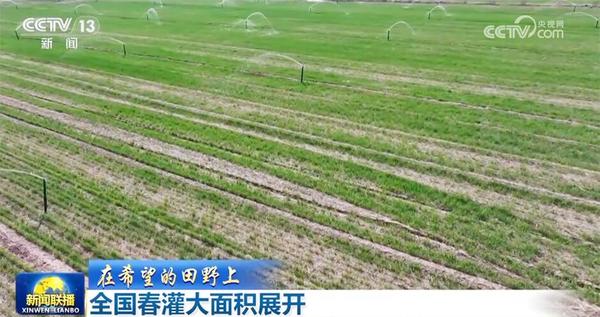 各行各业迎着春风涌动干事创业热潮 中国高质量发展“根深叶茂”(图6)