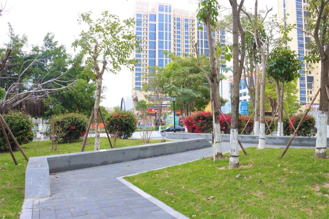 “绿”满洛江谱写生态文明建设新华章(图2) “绿”满洛江谱写生态文明建设新华章(图2)