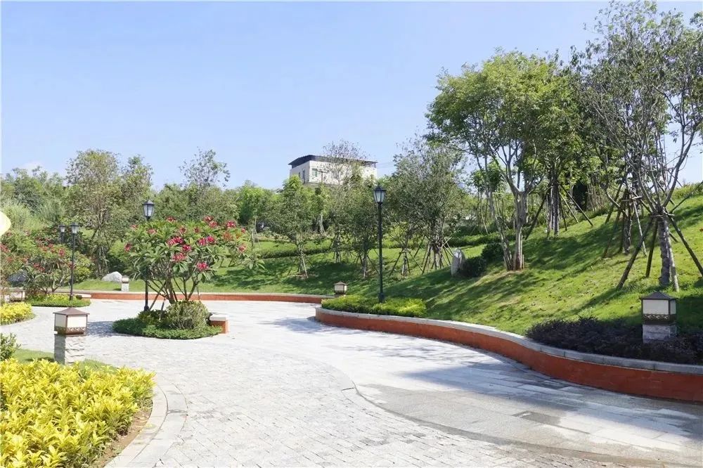 “绿”满洛江谱写生态文明建设新华章(图1) “绿”满洛江谱写生态文明建设新华章(图1)