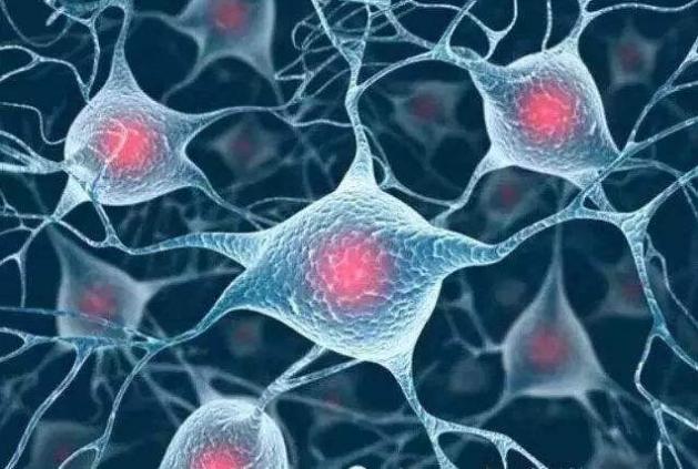 世界十大新科技排行榜！这些高端发明你认识几个？(图3)