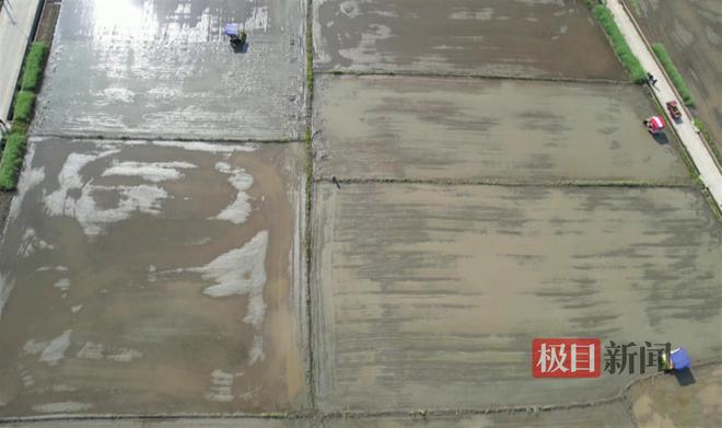 这个退役军人推行机械化插秧助力春耕生产“加速度”(图1) 这个退役军人推行机械化插秧助力春耕生产“加速度”(图1)