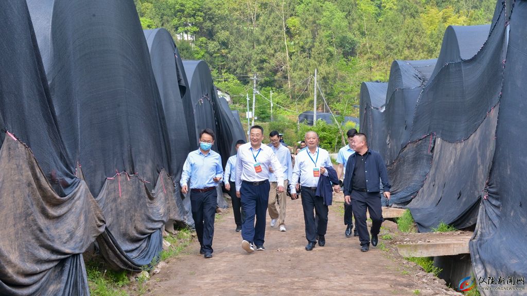 发挥科技力量！县政协组织开展“科技创新与推广应用”委员界别活动(图2)