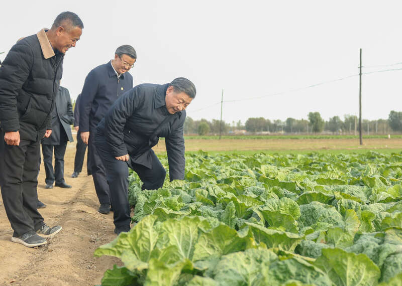 习田间地头话农事(图2)