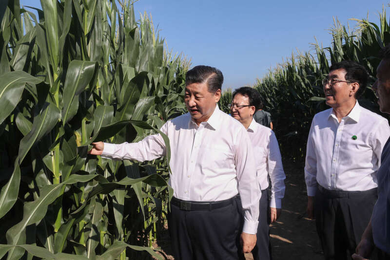 习田间地头话农事(图5)