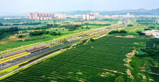 成都龙泉驿区：给农业现代化插上科技翅膀(图1)