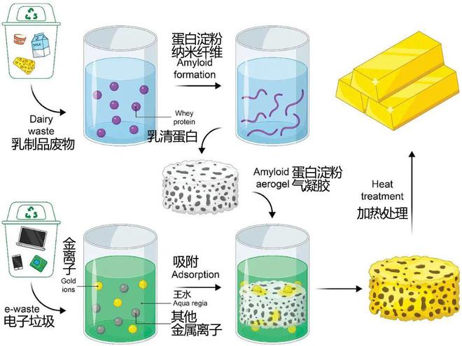 厨余垃圾能提炼黄金?科技造就“现代炼金术士”(图1) 厨余垃圾能提炼黄金?科技造就“现代炼金术士”(图1)
