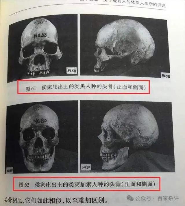 中国“鬼方”来源：现代科技改写认知又一雅利安神话被打破(图7)